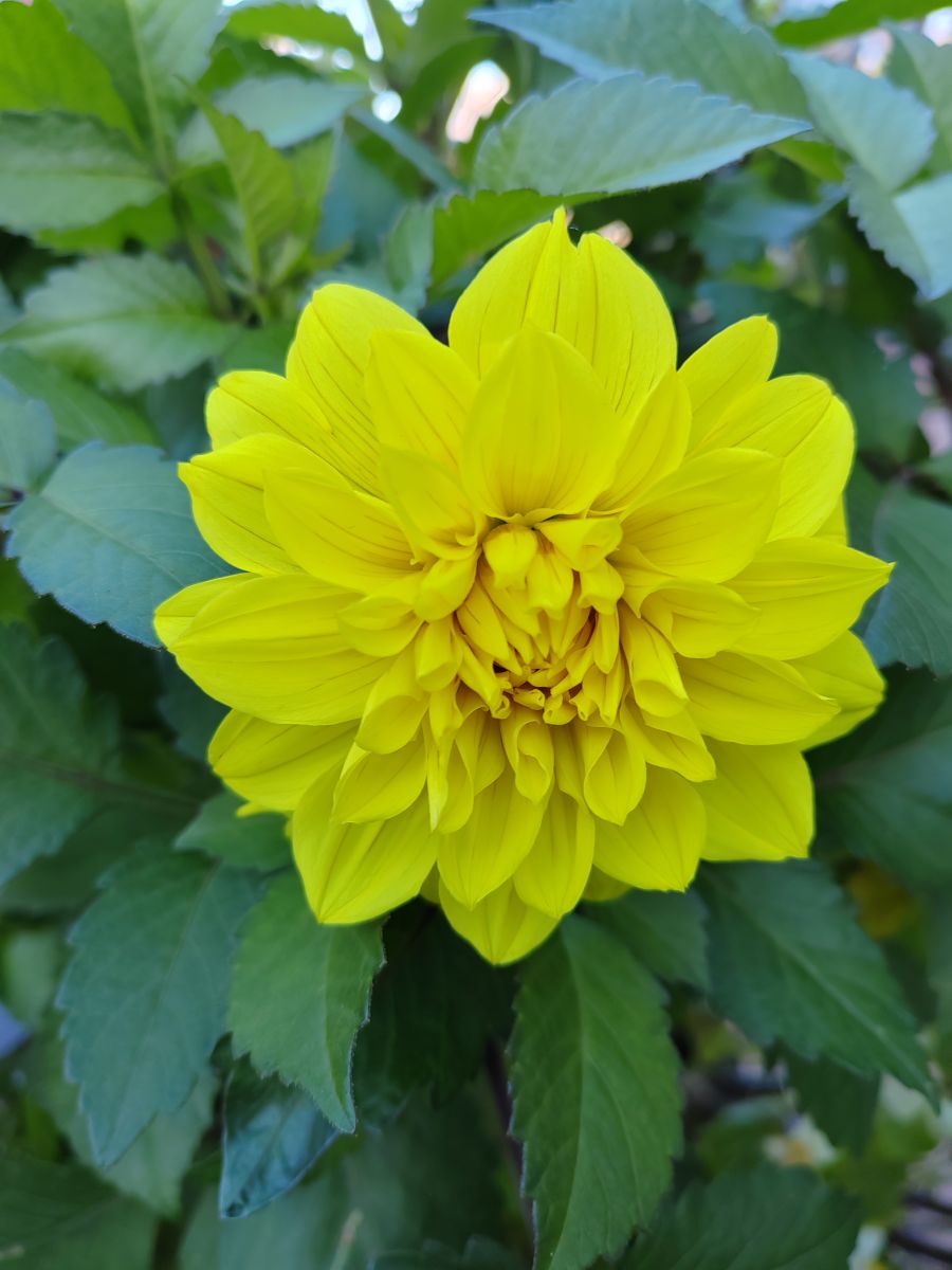 写真家 Albert_Smelovtsev、Roza Khutorの天気写真 - Weawow