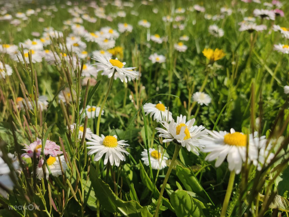 Photos météo à Radom. Prévisions météo avec de superbes photos de Jakly