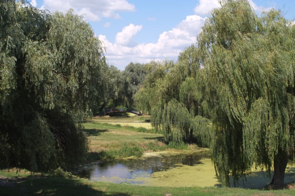 Фотографии Погоды в Смела. Прогнозы погоды с чудесными фотографиями, сделанными Saho76