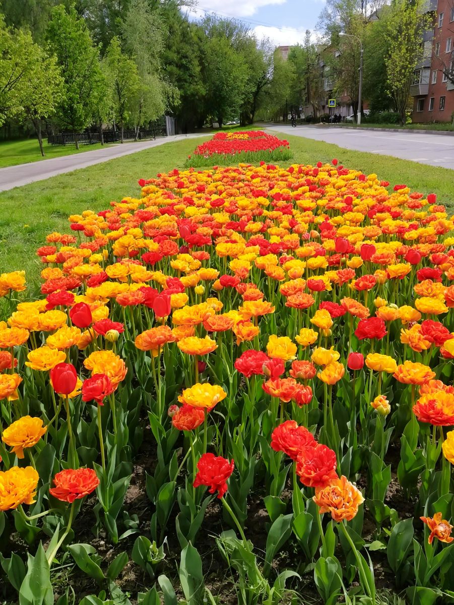 Podolskの天気写真. Elena55の美しい写真による天気予報