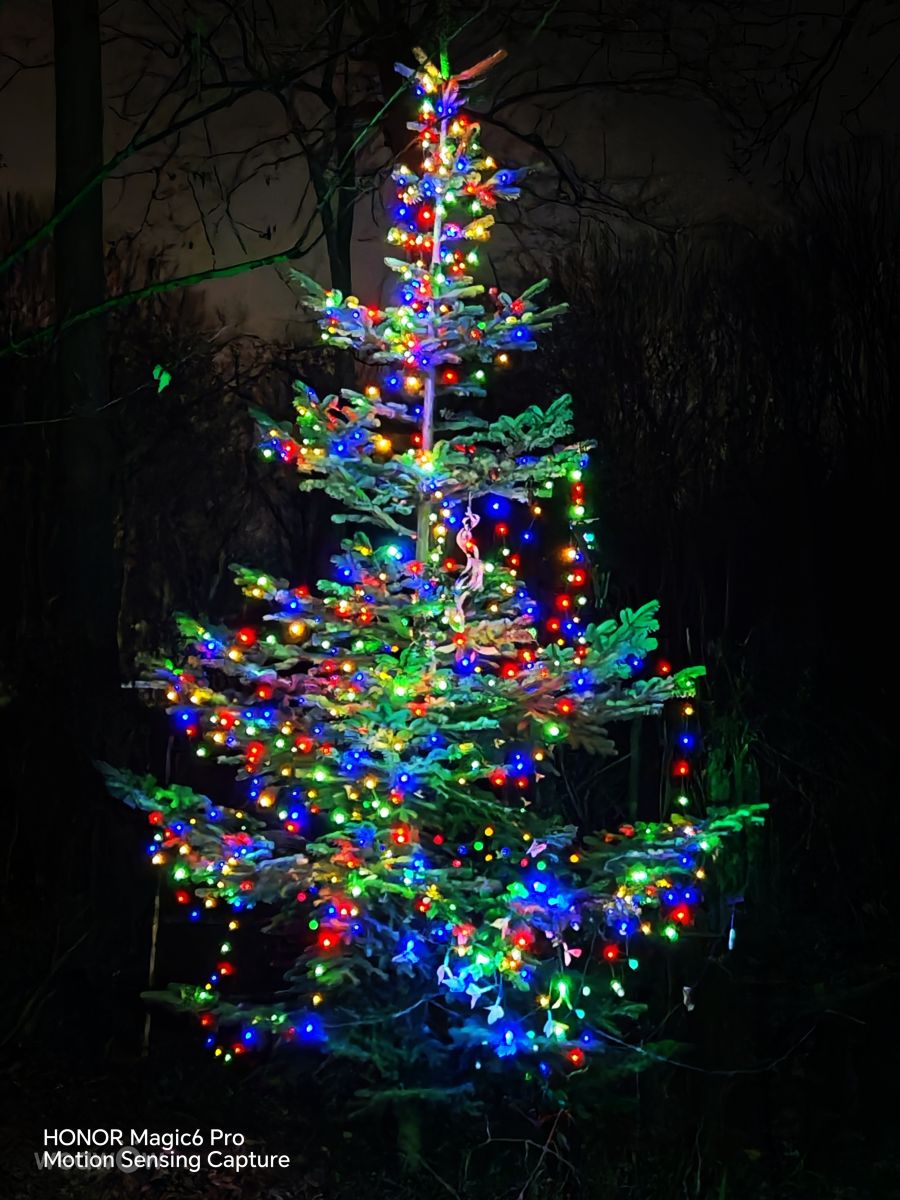 Weather Photos in Prahova. Weather forecasts with beautiful photos by Bley64