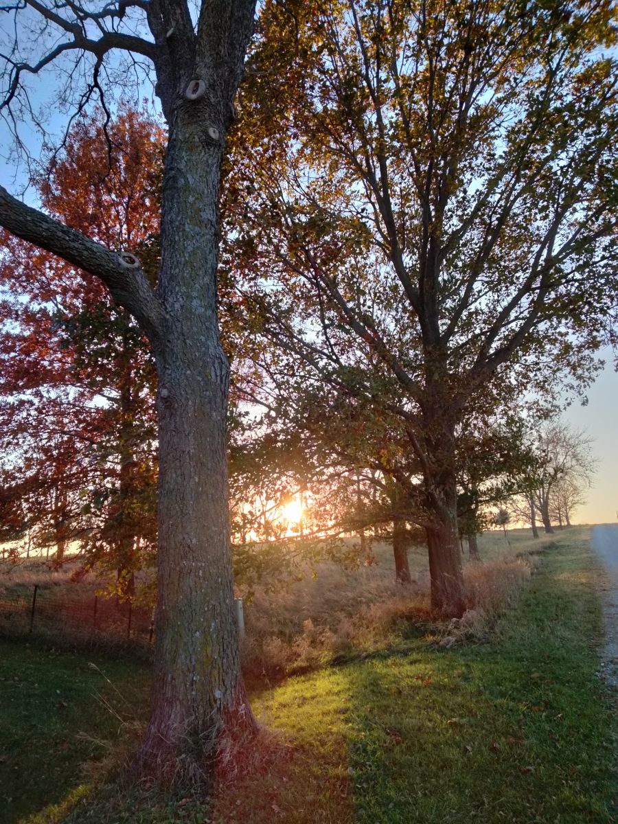 Weather forecasts with beautiful photos by Kate72