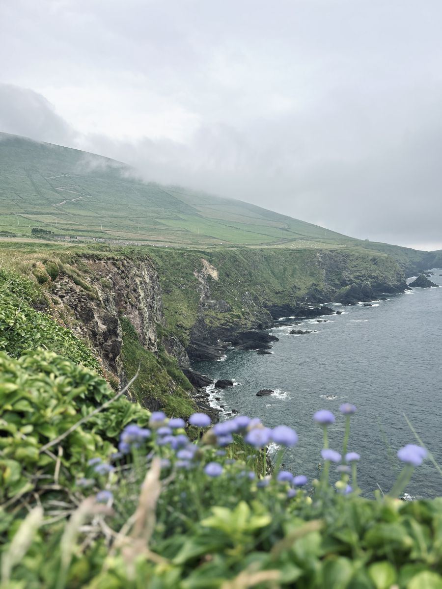 Weather Photos in Ireland. Weather forecasts with beautiful photos by flymiho87