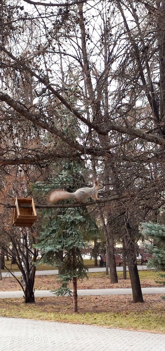 Weather Photos in Chelyabinsk. Weather forecasts with beautiful photos by Mark_Divin