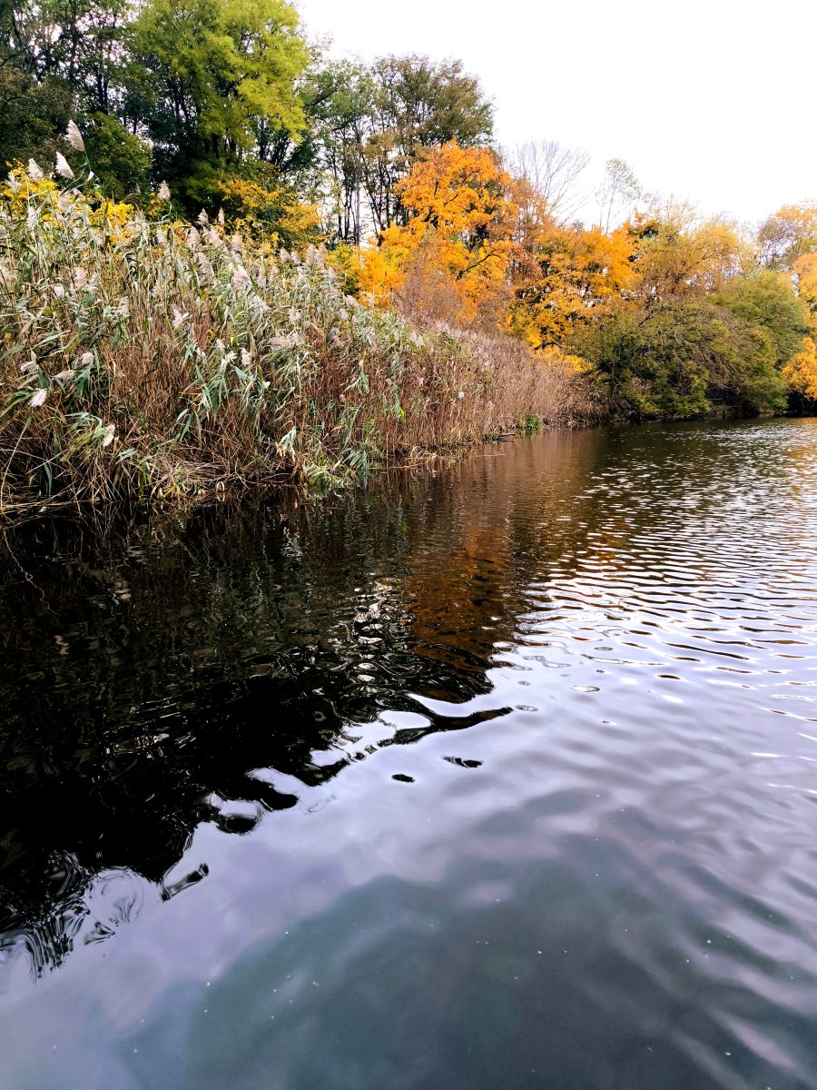 Fotos do tempo em Vinnytsia. Previsões do tempo com lindas fotos de Archery_0112
