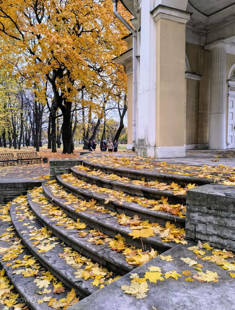 Photographer Jea, Weather Photos in St Petersburg - Weawow