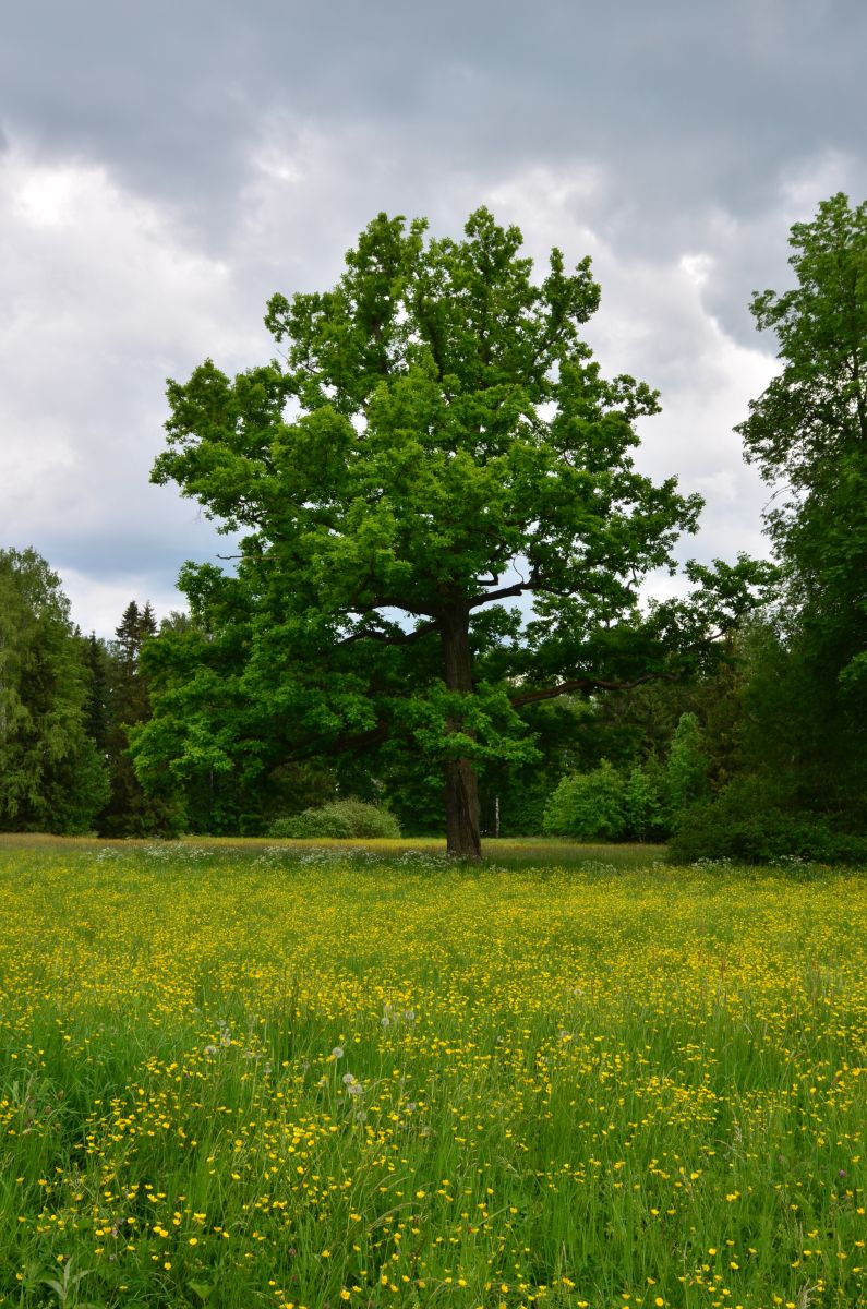 Фотографии Погоды в Санкт-Петербург. Прогнозы погоды с чудесными фотографиями, сделанными Andrey72