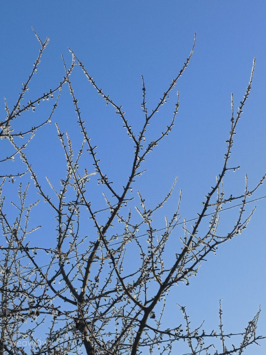 Фотографии Погоды в Украина. Прогнозы погоды с чудесными фотографиями, сделанными Надюша