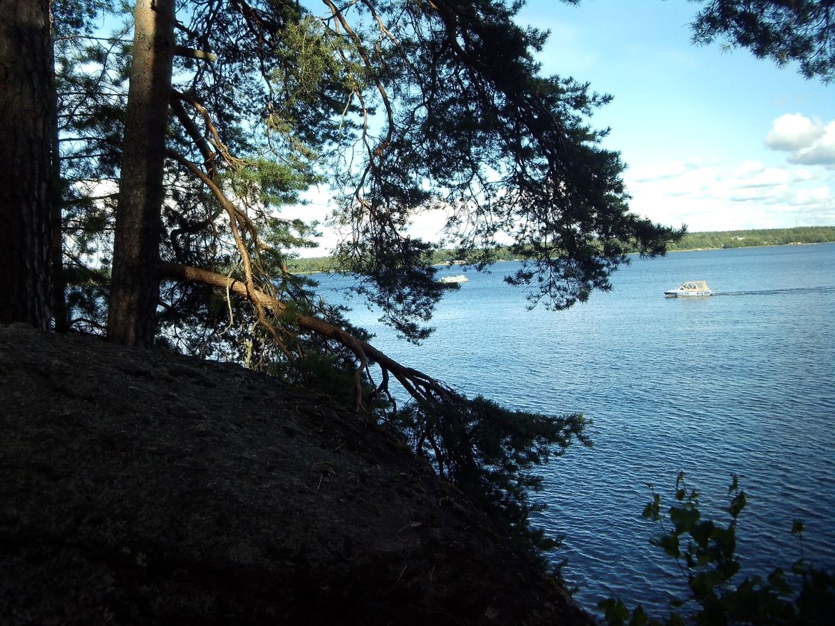 维堡的天气照片. 天气预报，带IrChe精美的照片