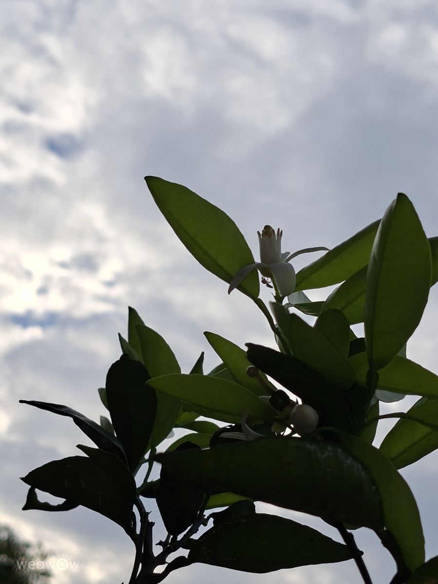 世界の天気写真. Wen-ya Huangの美しい写真による天気予報