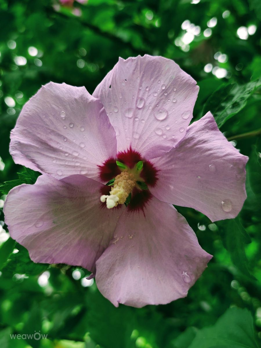 Wetter Photos Slowenien. Wettervorhersagen mit schönen Fotos von Anamarija