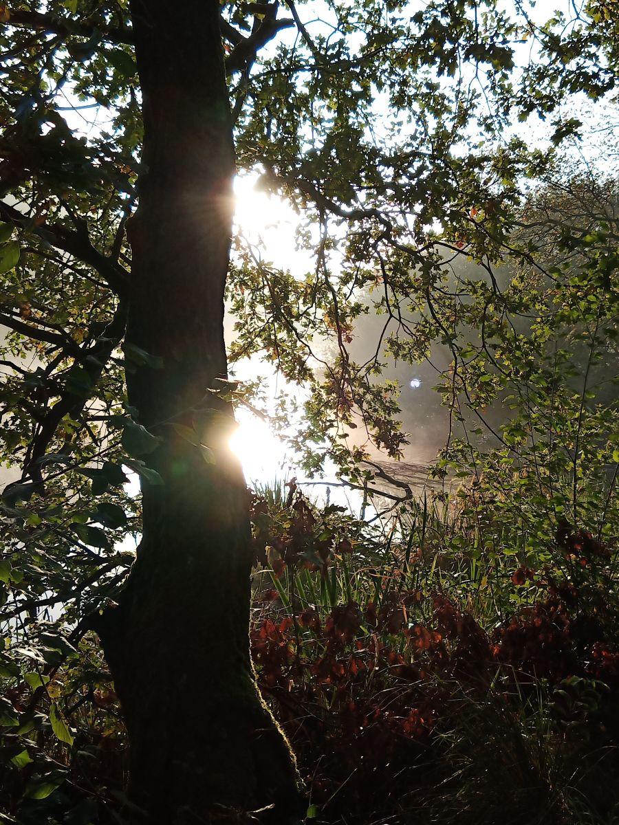 Фотографии Погоды в Ahlhorner Fischteiche. Прогнозы погоды с чудесными фотографиями, сделанными fwerner