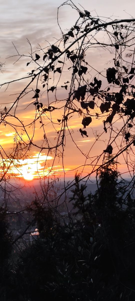 Weather Photos in Ettlingen. Weather forecasts with beautiful photos by Tercis