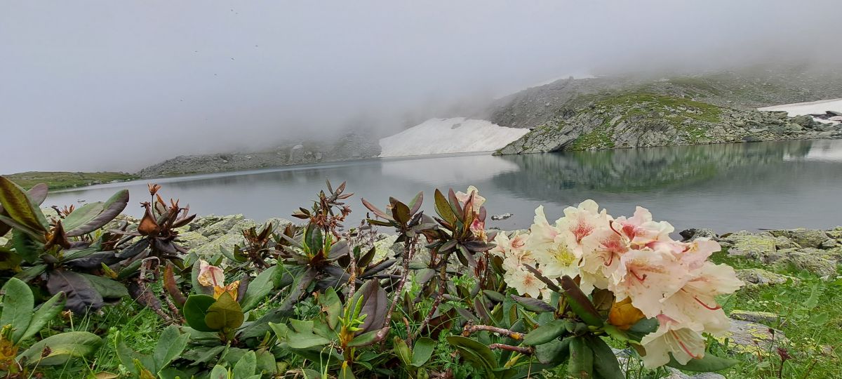 Karachayevo-Cherkesiyaの天気写真. Еленачкаの美しい写真による天気予報
