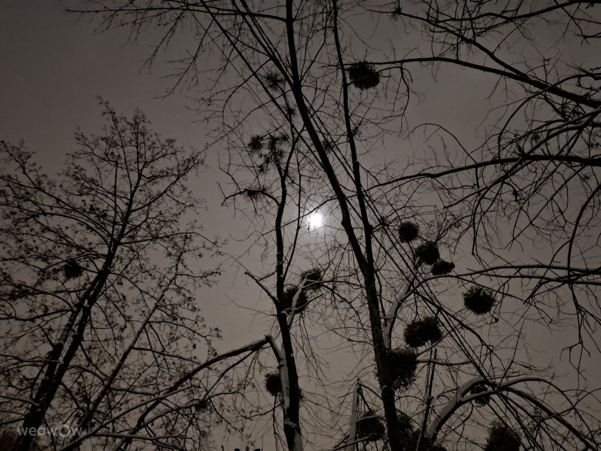 Photographer Iryna, Weather Photos in Kharkiv - Weawow