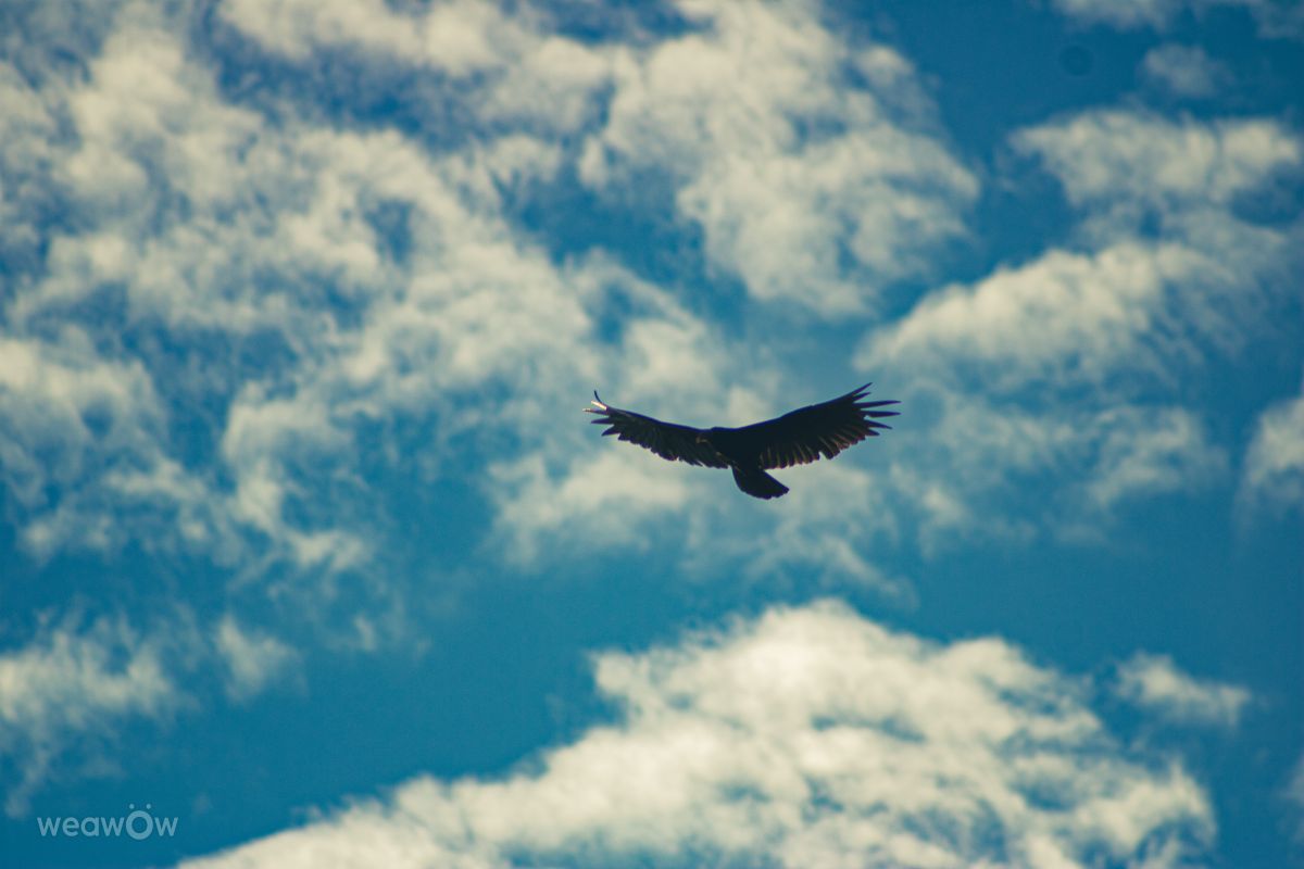 Weather forecasts with beautiful photos by vignedd