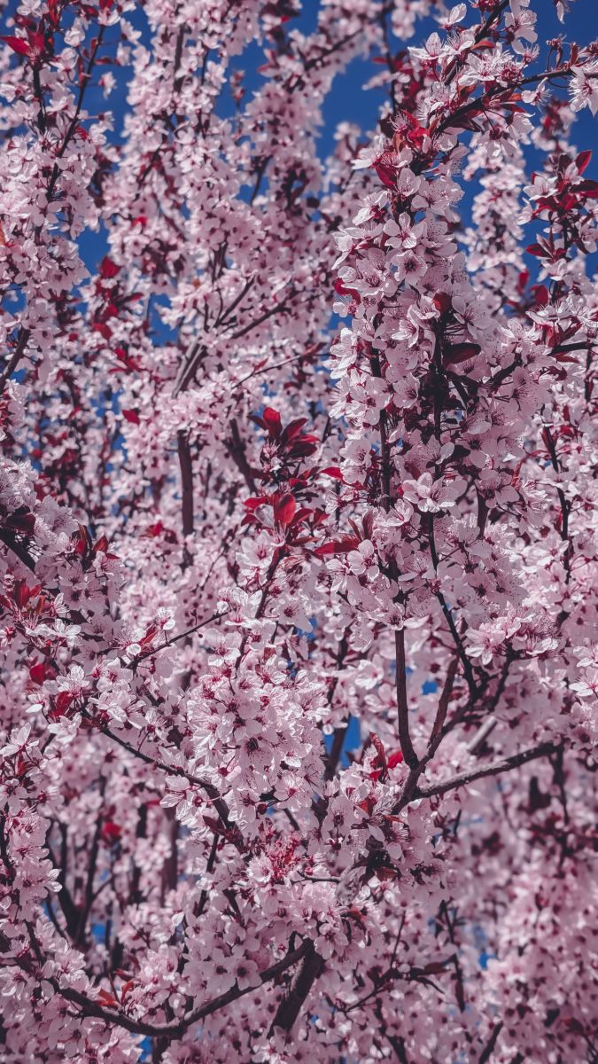 Fotos do tempo em Khmelnytskyi. Previsões do tempo com lindas fotos de evigalar