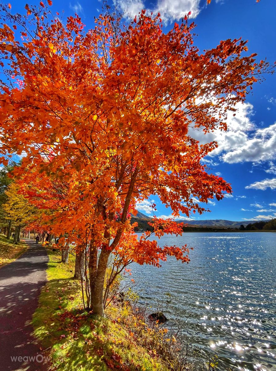 Weather Photos in Megami Lake. Weather forecasts with beautiful photos by Kasumisou