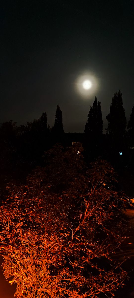 Photographer Tercis, Weather Photos in Ettlingen - Weawow