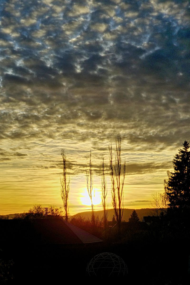 Photographe Vlasaty, Photos météo à Kolová - Weawow