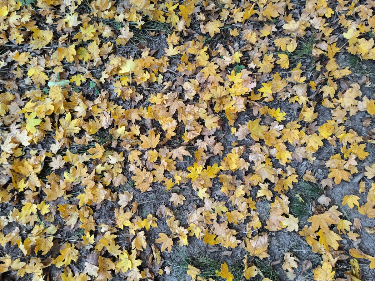 Bradの天気写真. T0NY282の美しい写真による天気予報