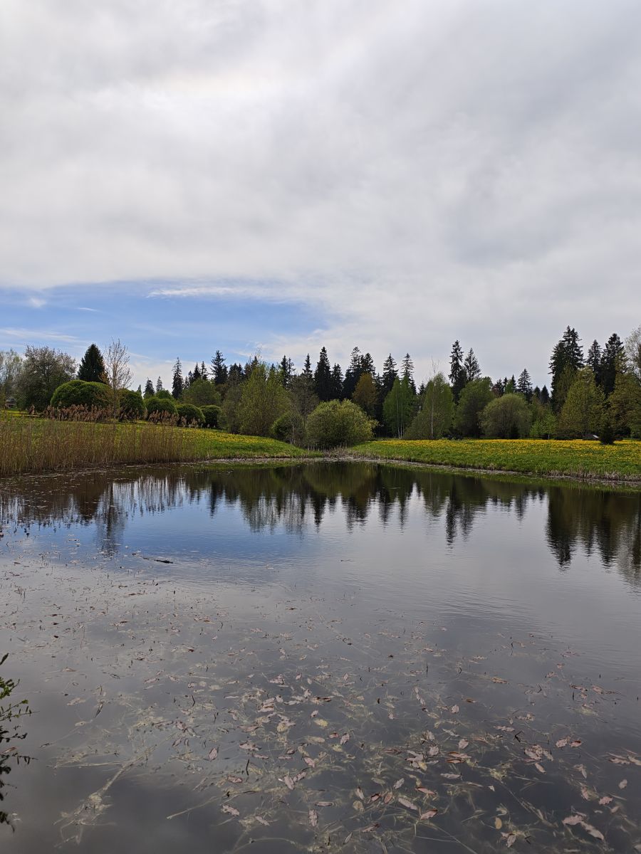 Weather Photos in Rēzekne. Weather forecasts with beautiful photos by nataljkar