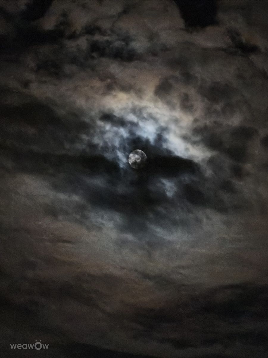 写真家 IvanaB、の天気写真 - Weawow