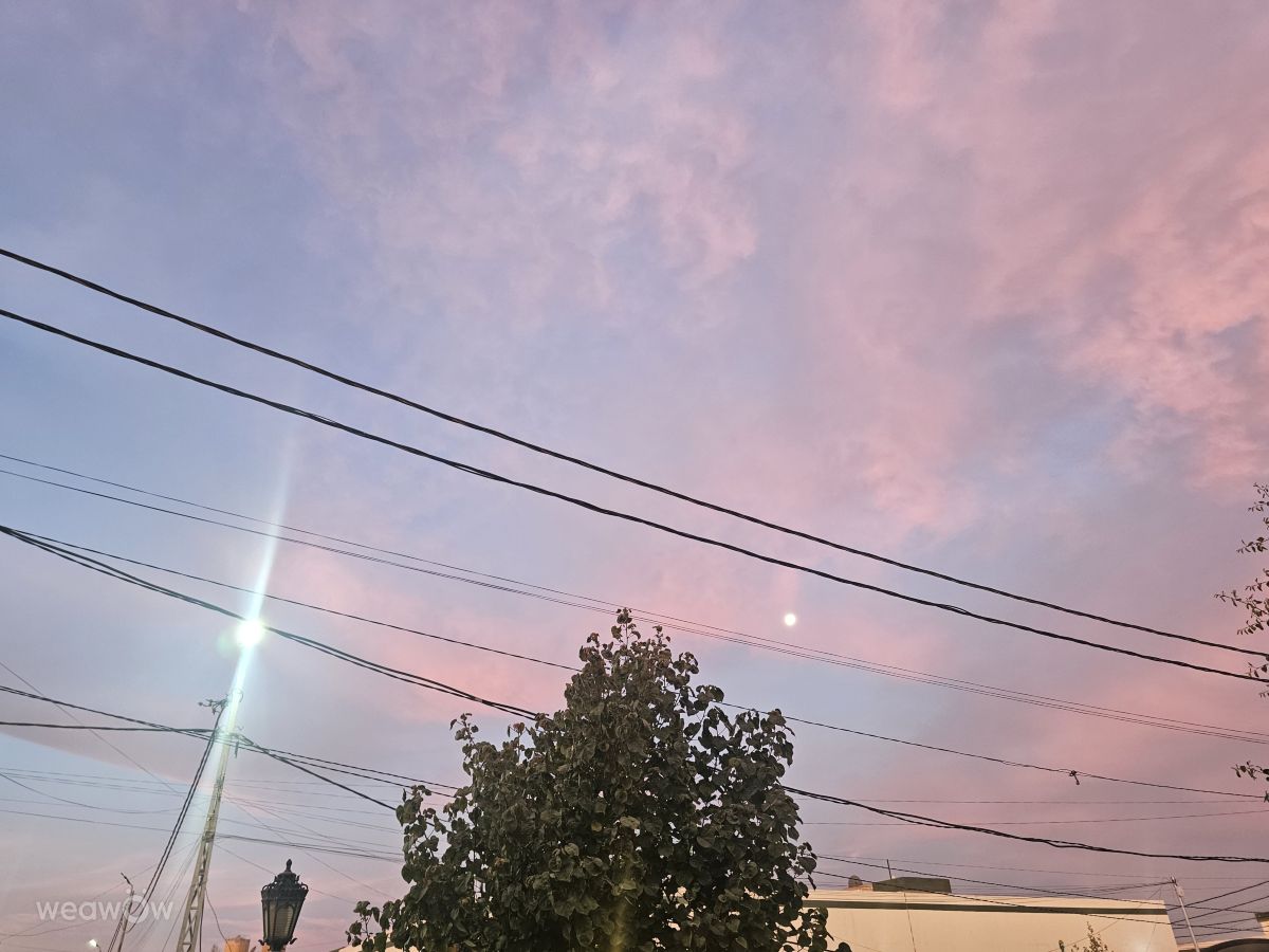 Fotos do tempo em An-Najaf. Previsões do tempo com lindas fotos de عطر الياسمين