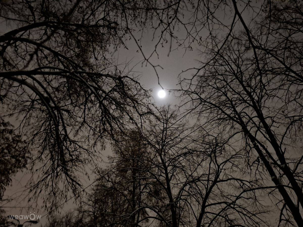 Photographer Iryna, Weather Photos in Kharkiv - Weawow