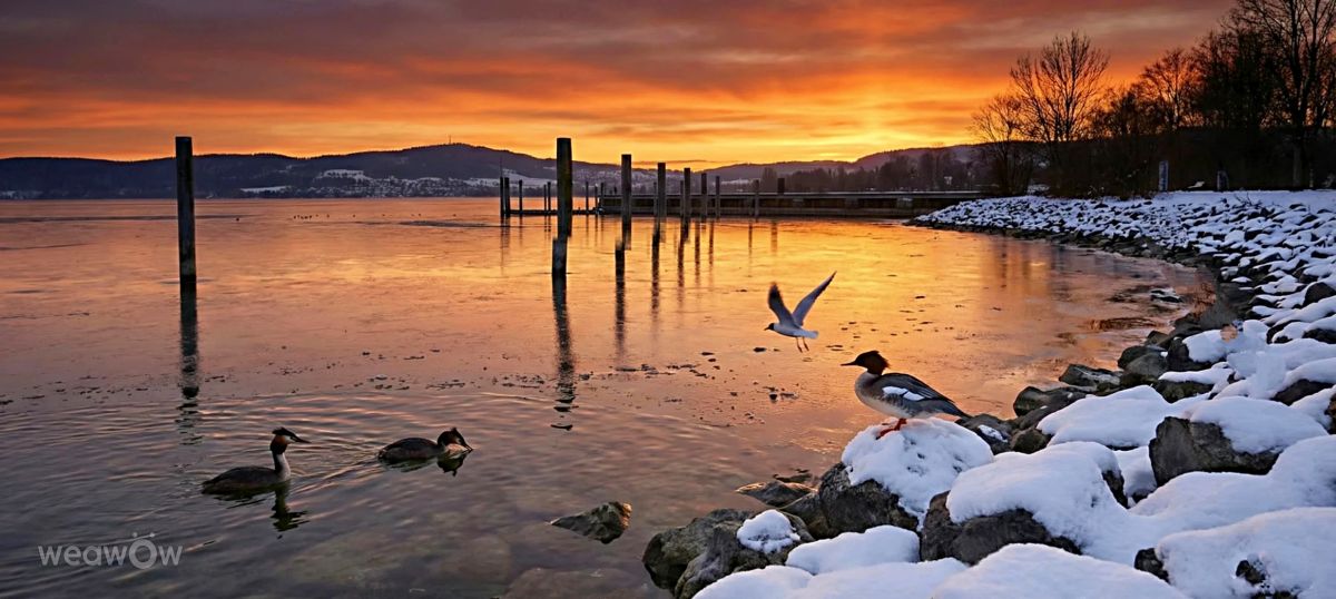 Weather Photos in Radolfzell. Weather forecasts with beautiful photos by Kasalinde