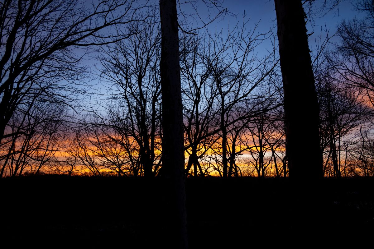 Фотограф krantzjh, Фотографии Погоды в Hanover - Weawow