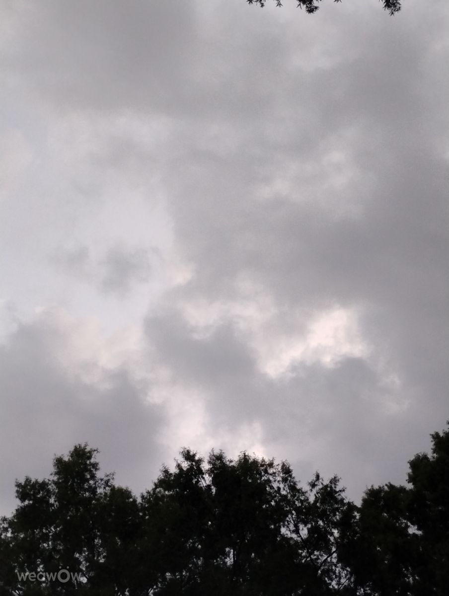 Weather Photos in Riverwalk Parkway. Weather forecasts with beautiful photos by Awcat