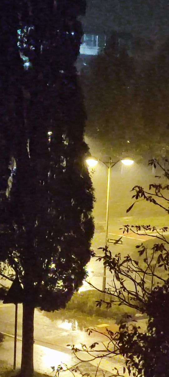 Photographer Tercis, Weather Photos in Ettlingen - Weawow