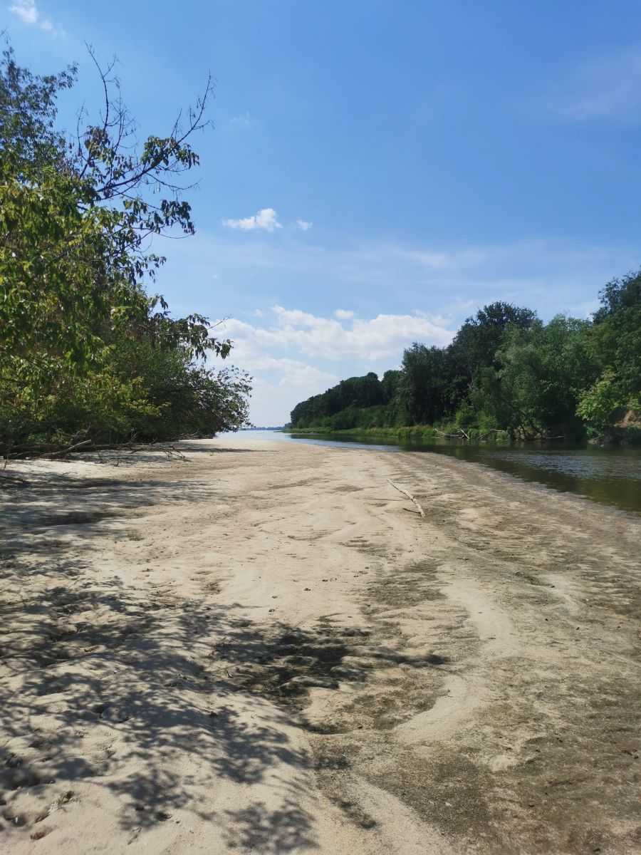 マゾフシェ県の天気写真. Kornikの美しい写真による天気予報