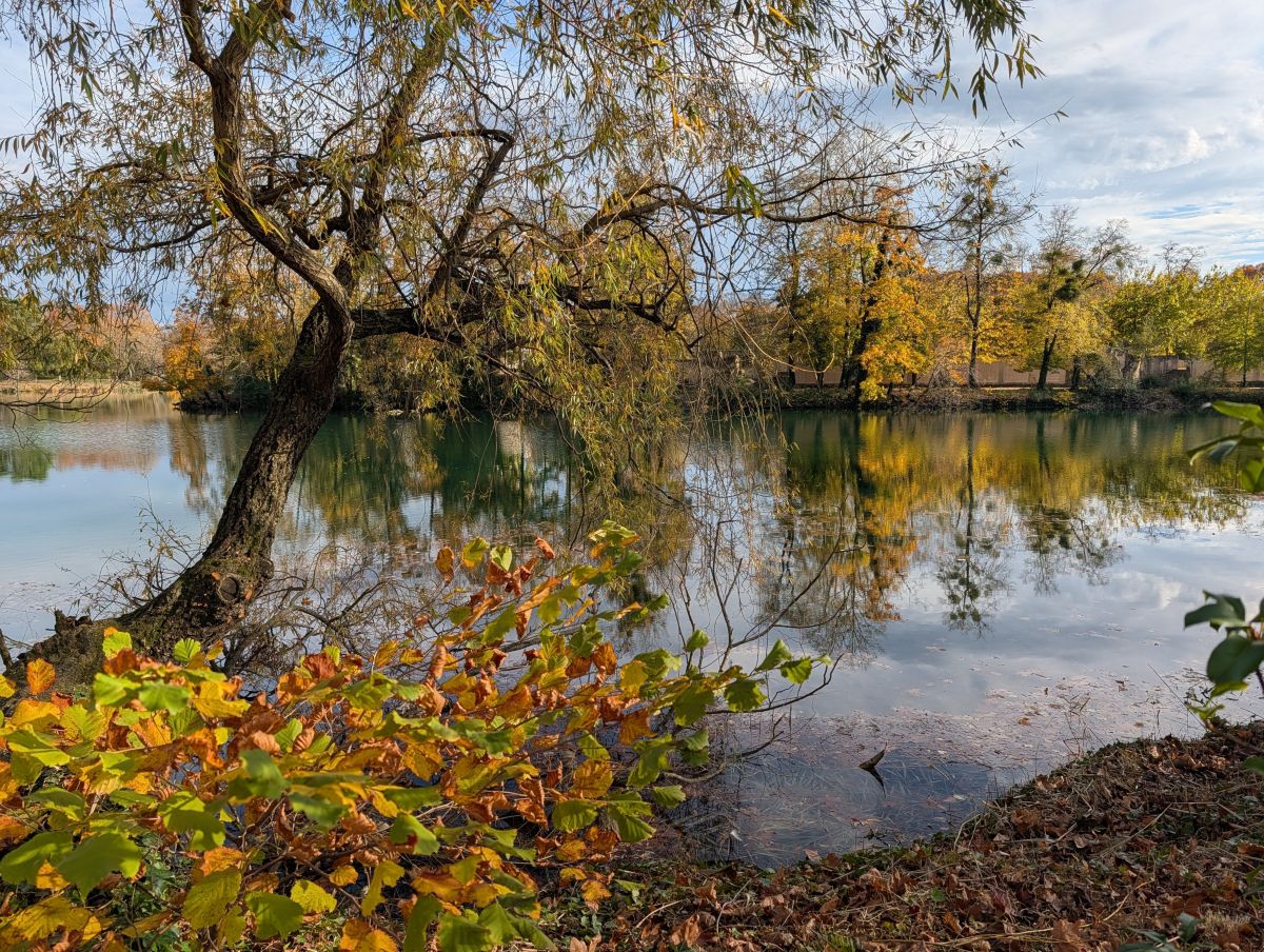 Photos météo à Auvergne-Rhône-Alpes. Prévisions météo avec de superbes photos de Yvus