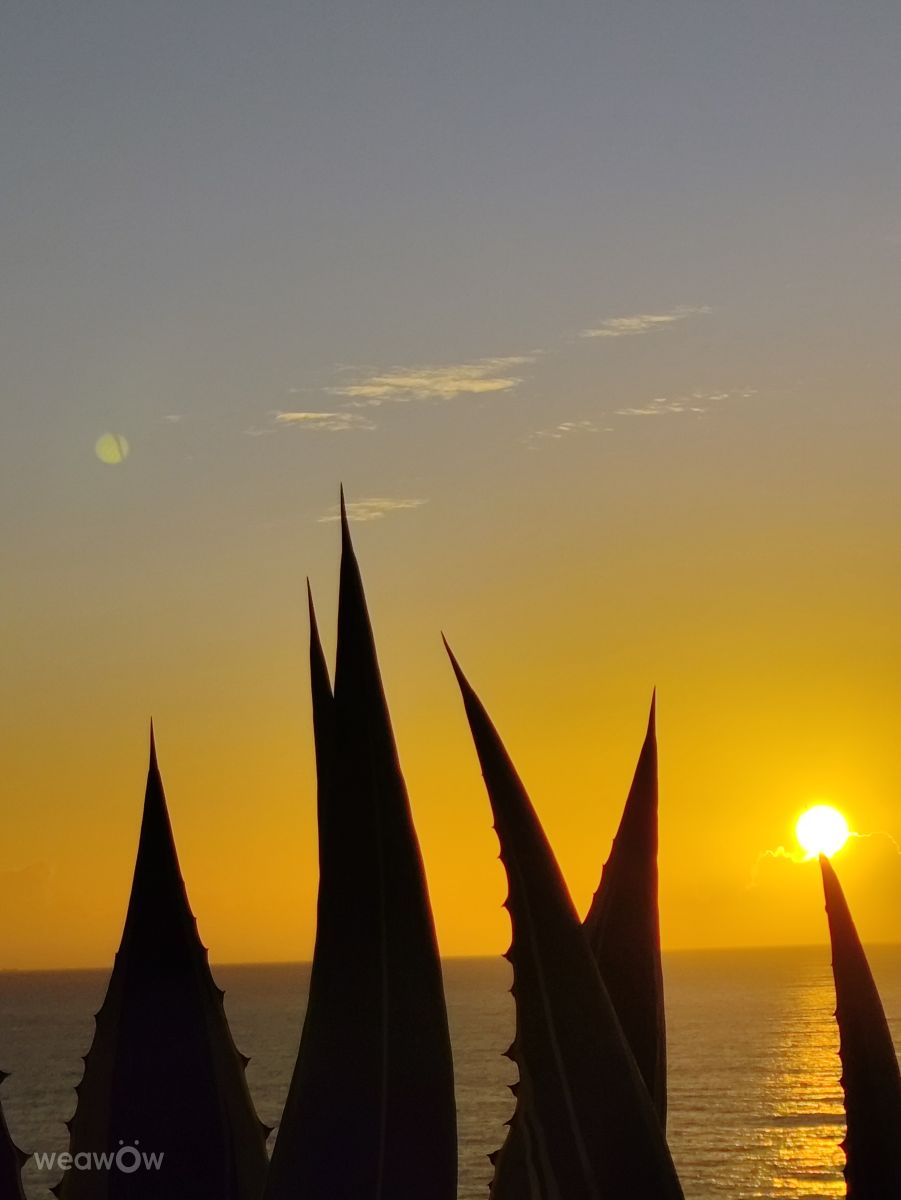 Фотограф Brtd, Фотографии Погоды в Praia do Carvoeiro - Weawow