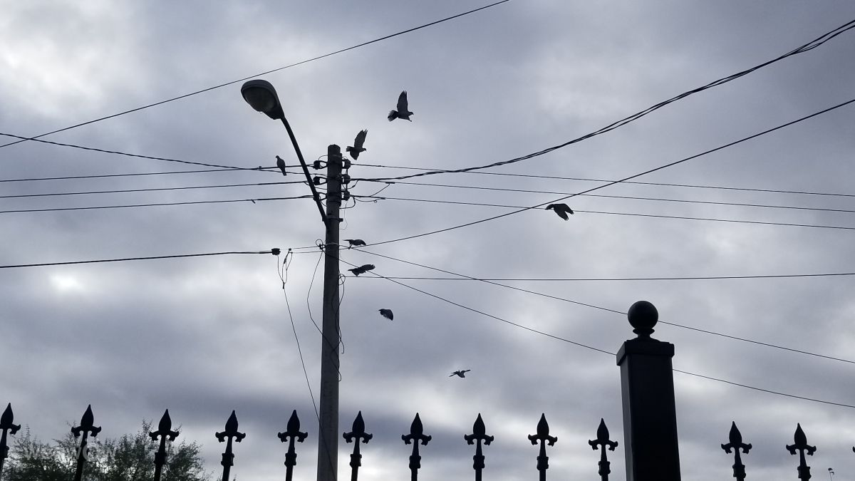 天气预报，带Krys-Cherry精美的照片