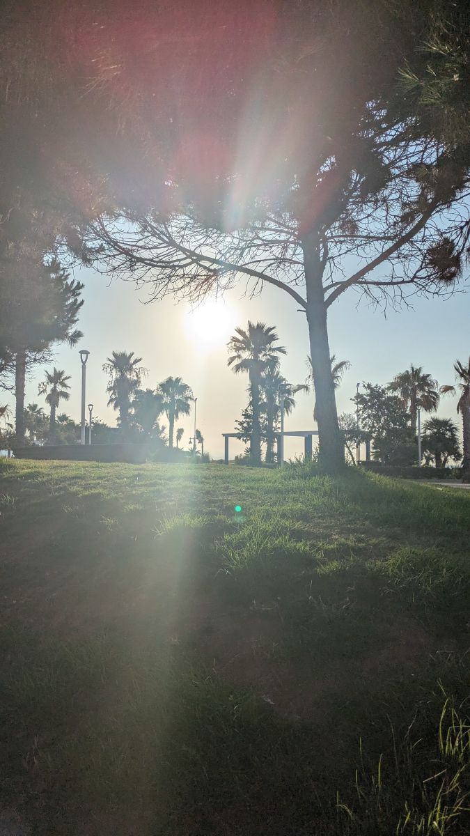 Photographe Patán, Photos météo à Málaga - Weawow