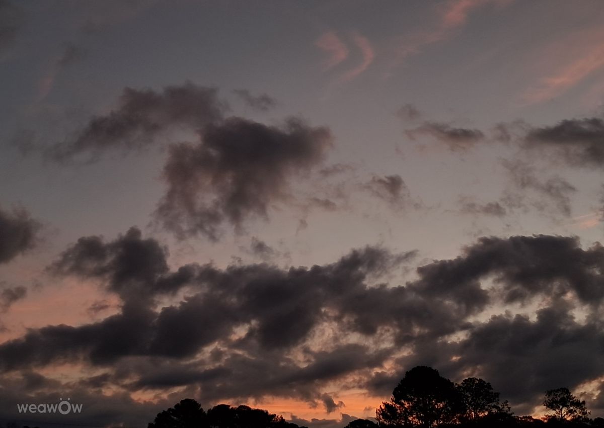 Photos météo à Géorgie. Prévisions météo avec de superbes photos de C-L-Holt