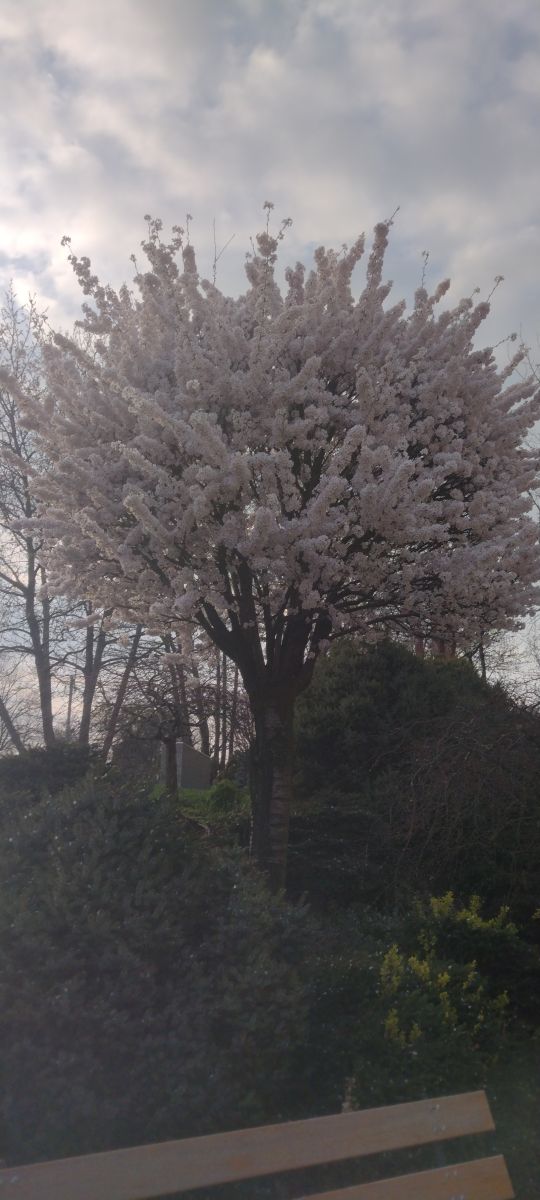 Hình ảnh Thời tiết ở Romania. Dự báo thời tiết với những bức ảnh đẹp của Mikaella