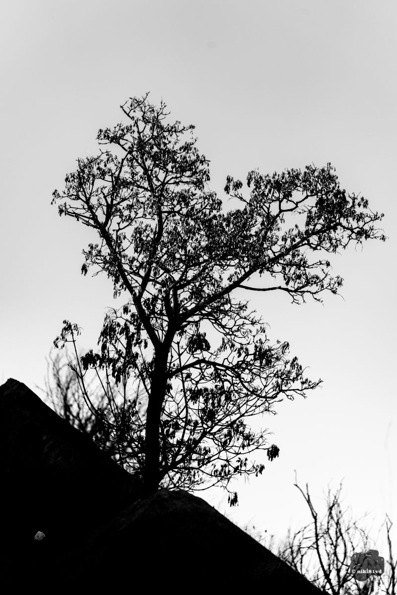 Фотографии Погоды в Пловдив. Прогнозы погоды с чудесными фотографиями, сделанными niki81vd