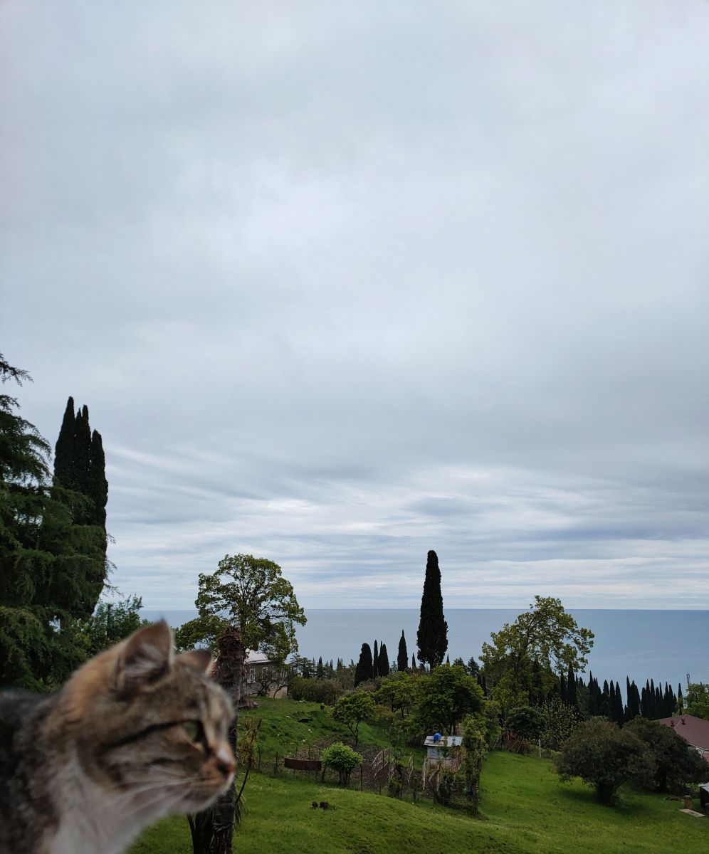 Photographe Belkka303, Photos météo à Akhali Atoni - Weawow