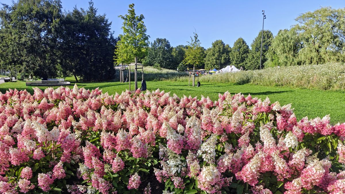 Photos météo à Riga. Prévisions météo avec de superbes photos de newgen