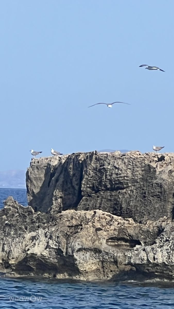 Фотографии Погоды в Кипр. Прогнозы погоды с чудесными фотографиями, сделанными Dorottya Jez