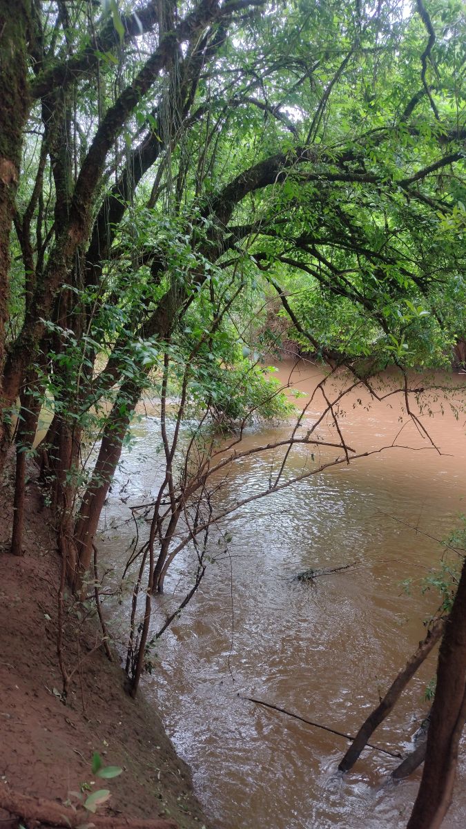 维亚芒的天气照片. 天气预报，带Jonas精美的照片
