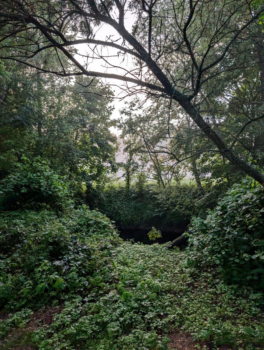 ペルヌ県の天気写真. liisikyの美しい写真による天気予報