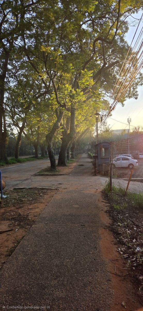 Photos météo à San Lorenzo. Prévisions météo avec de superbes photos de edalib