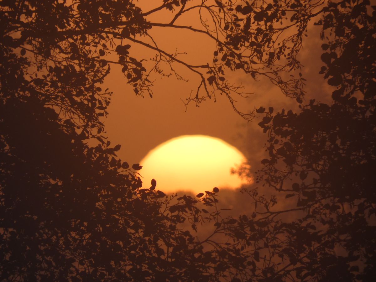 Фотографии Погоды в Dangast. Прогнозы погоды с чудесными фотографиями, сделанными fwerner