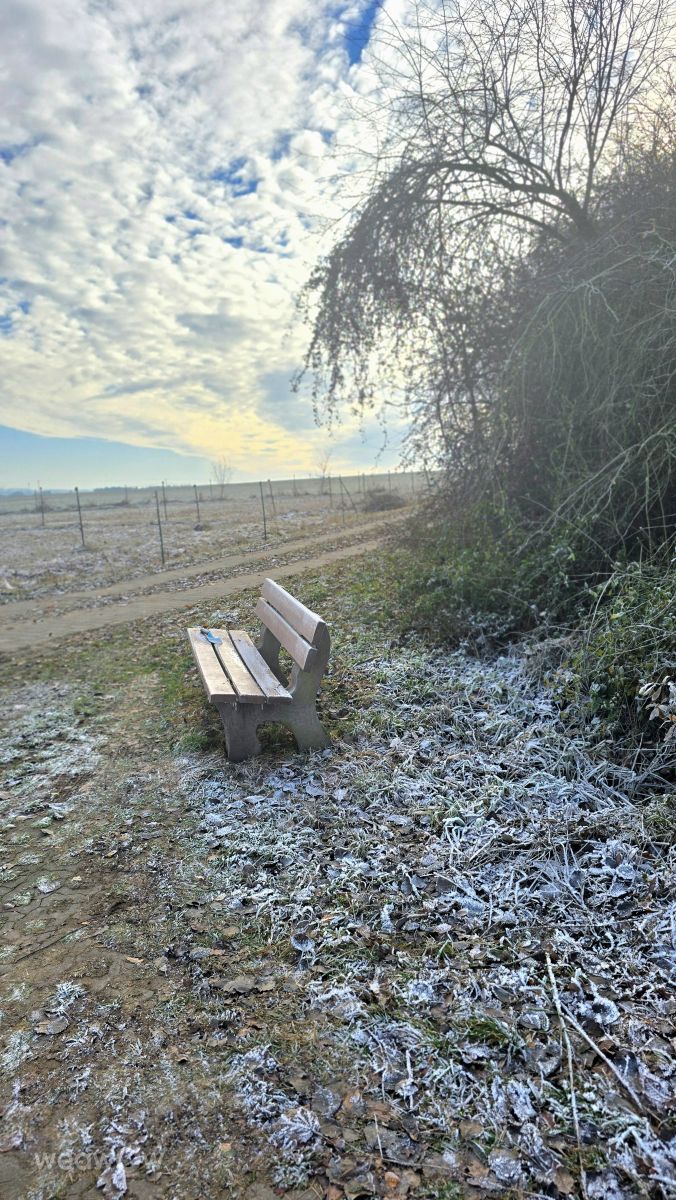 Weather Photos in Bavaria. Weather forecasts with beautiful photos by Hela