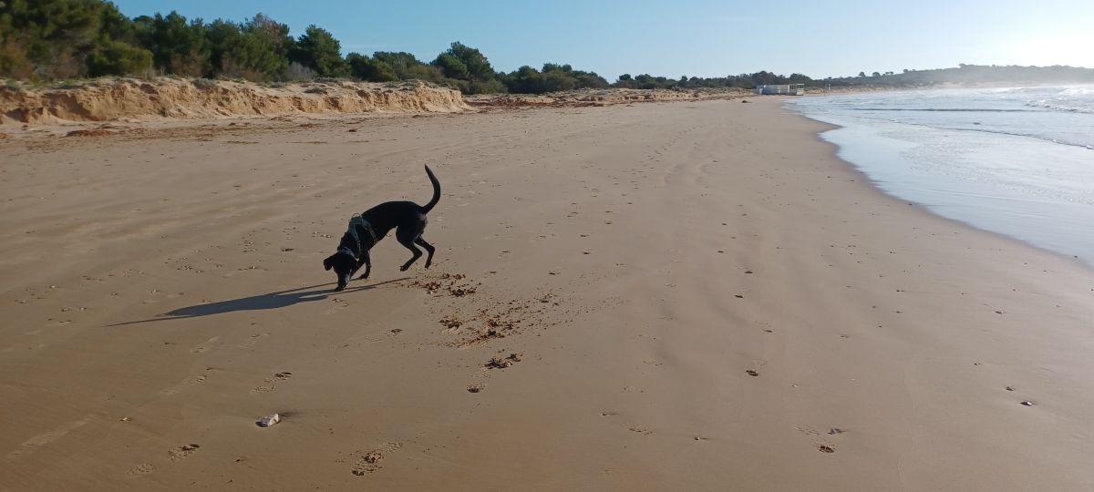 Weather forecasts with beautiful photos by Hanseman